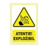 Indicator Avertizare - Explozibil
