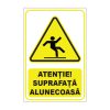 Indicator Avertizare - Suprafata alunecoasa